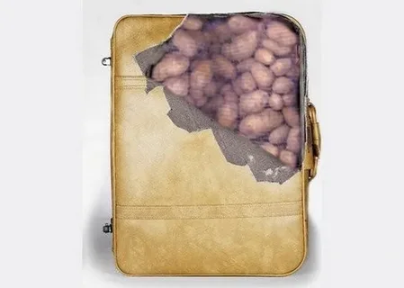 Фото с Яндекса