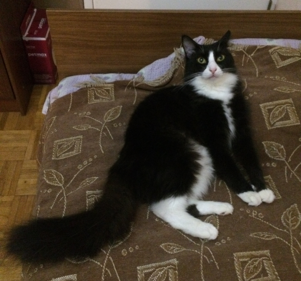 Орион