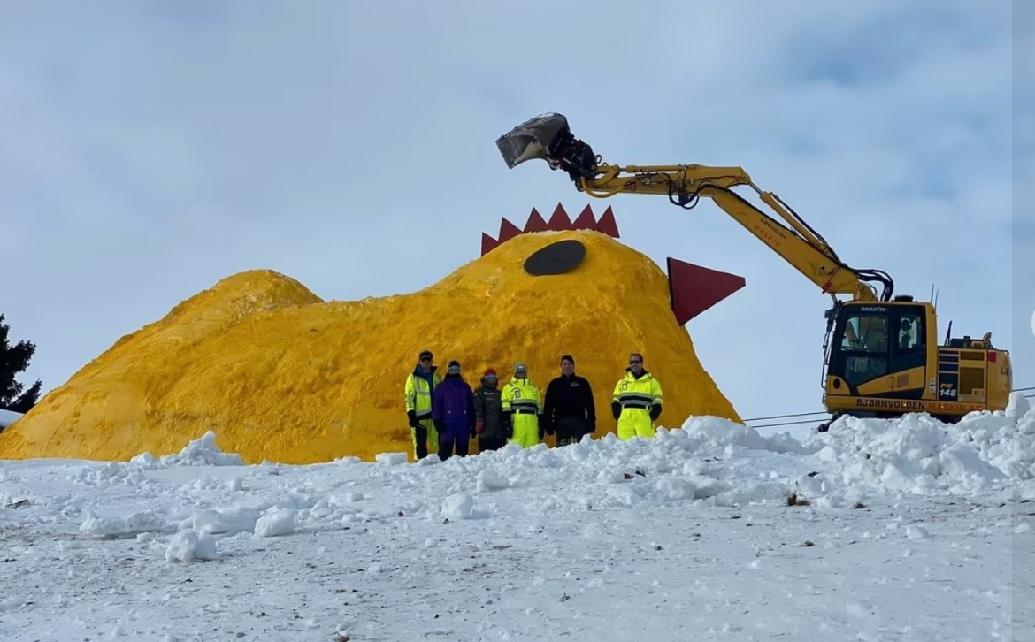 Фото из соц. сетей