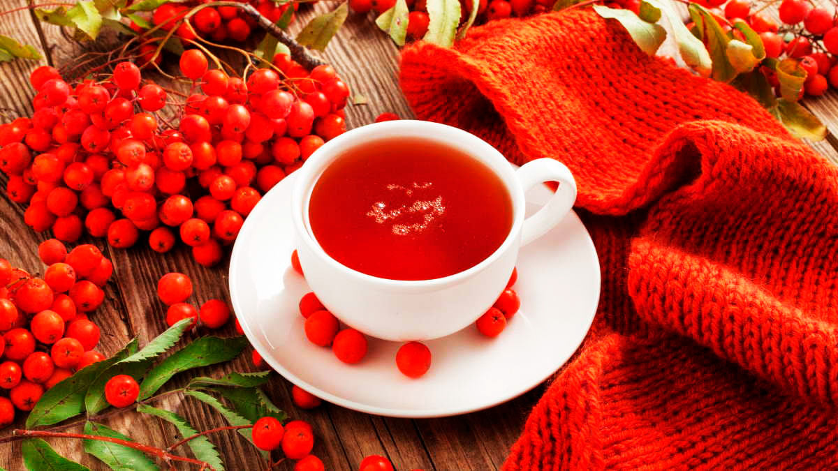 📌- Цветы калины. Они использовались для приготовления настоев и отваров, которые помогали снять усталость, улучшить общее самочувствие и укрепить сердечную мышцу. 📌- Листья калины. Они содержат вещества, которые способствуют снижению артериального давления и укреплению сердца. Часто листья калины использовались для приготовления чаев и настоев.
📌- Кора калины. Кора калины использовалась для снятия головной боли. Для приготовления отвара кору калины следует залить водой и кипятить на слабом огне. Полученное средство следует процедить и пить по назначению.

⚠️ Однако, необходимо помнить, что народные методы лечения не заменяют профессиональную медицинскую помощь. При серьезных проблемах со здоровьем всегда следует обратиться к врачу.
➿➿➿➿➿➿➿🍀