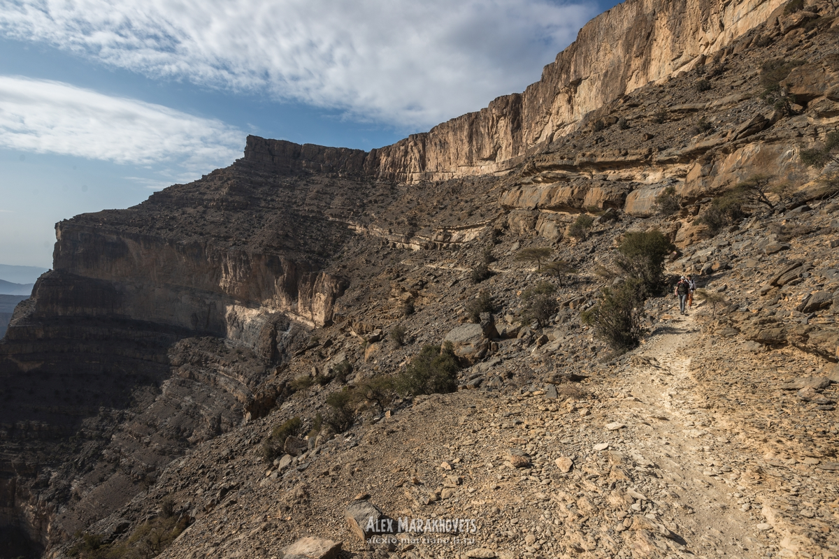 В конце января мы с сыном гуляли по живописной тропе в каньоне Джебель-Шамс в Омане. Это очень популярное место в Омане, которое можно сравнить с Сулакским каньоном в Дагестане.