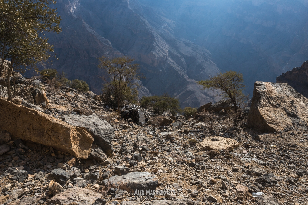 В конце января мы с сыном гуляли по живописной тропе в каньоне Джебель-Шамс в Омане. Это очень популярное место в Омане, которое можно сравнить с Сулакским каньоном в Дагестане.-2