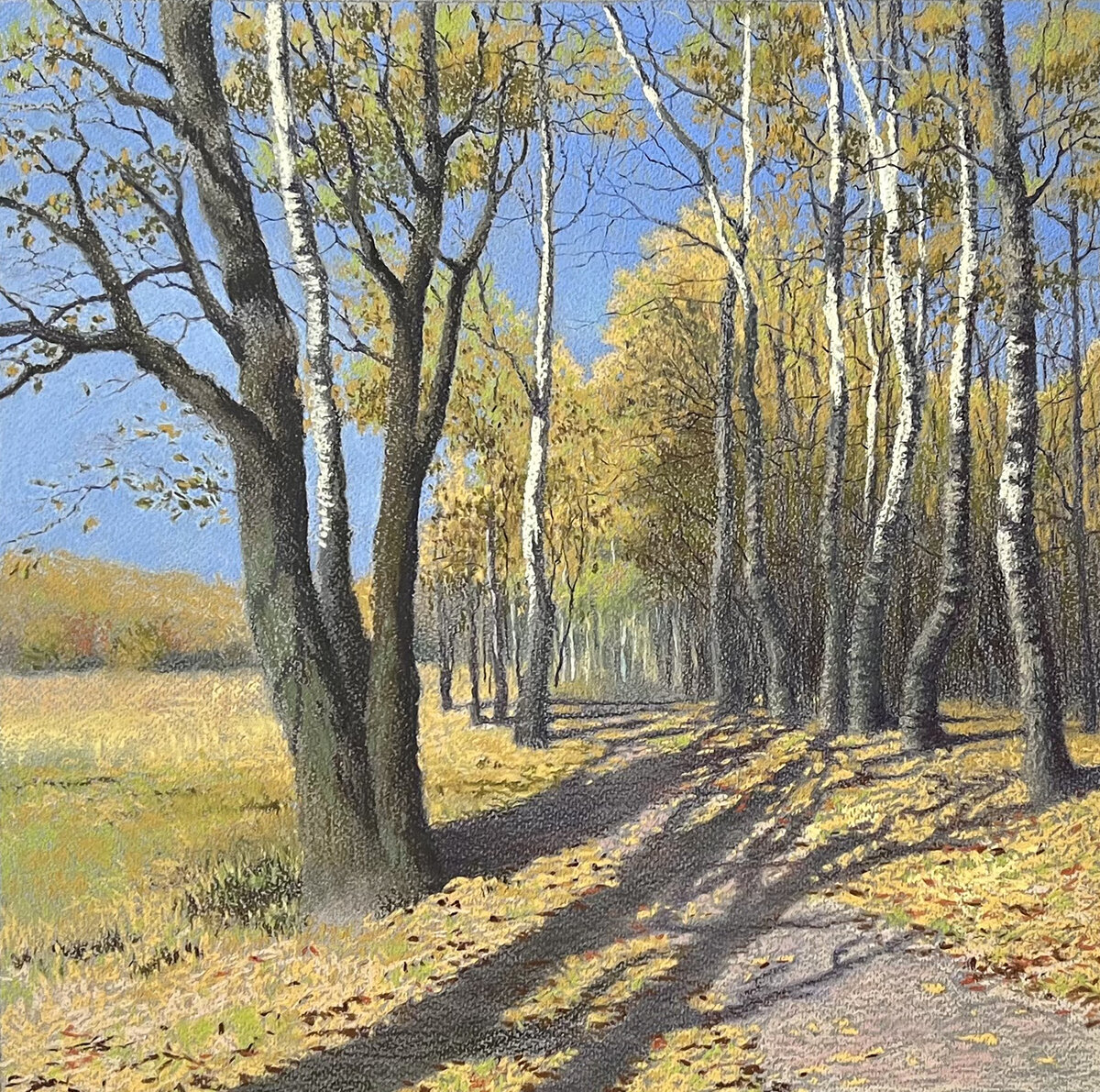 Осенняя аллея. Бумага, пастель. Ольга Медведева