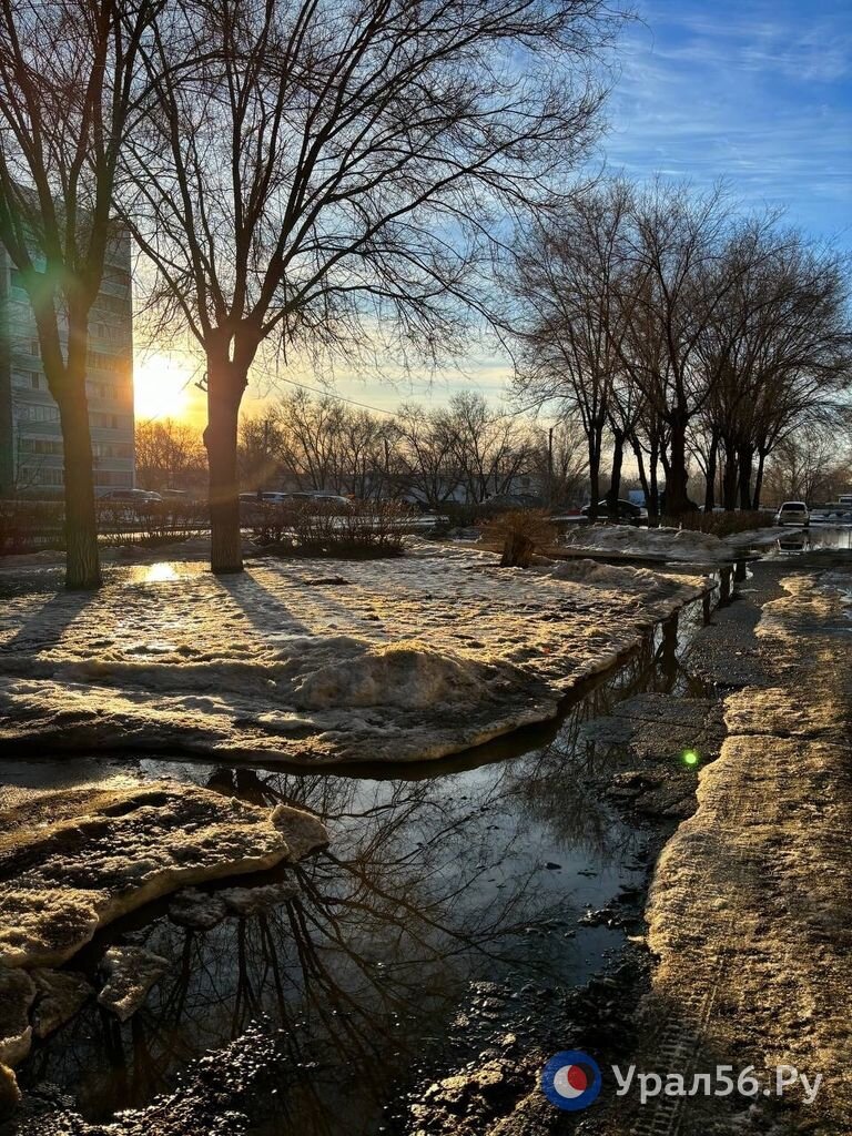 зимой в лесу. дорога без снега. снег на дороге. дорога зимой. снег на дороге.