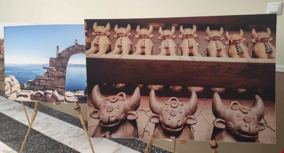    Администрация Химки г.о.