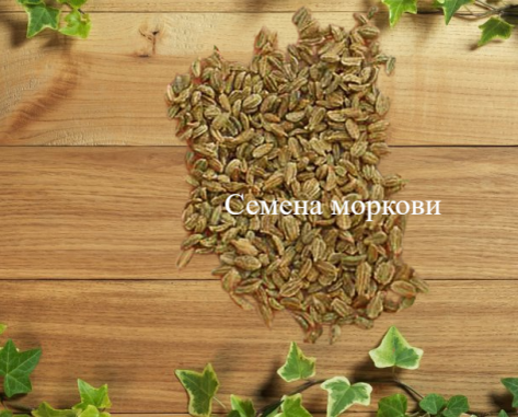 Семена моркови