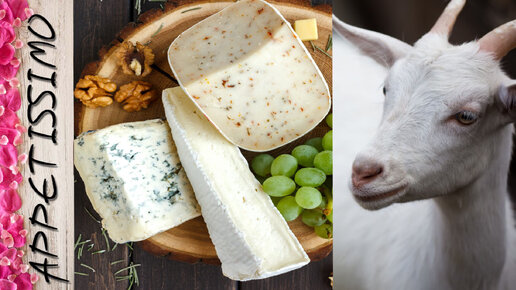 КОЗЬЕ МОЛОКО в сыроделии ☆ Сыр, творог, Сулугуни, Моцарелла из козьего молока: рецепт ☆ Goat Cheese