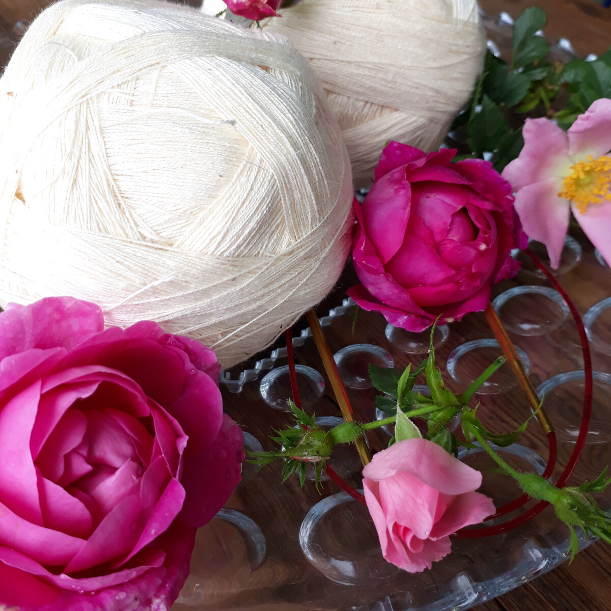 Фото автора.