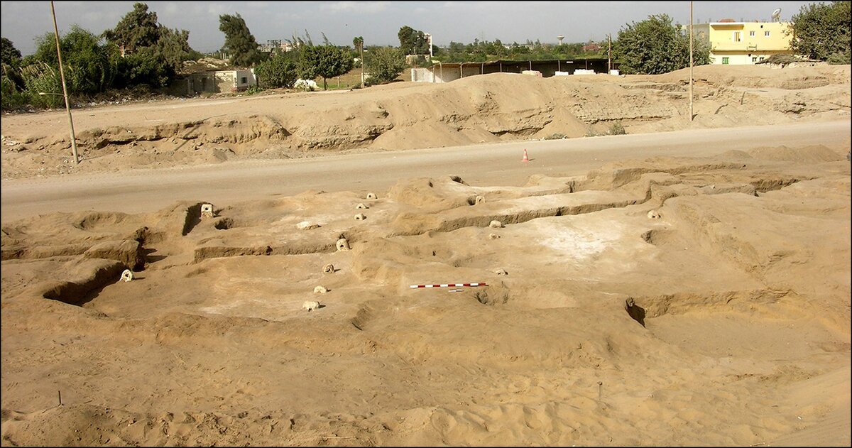 Раскопки конюшни.