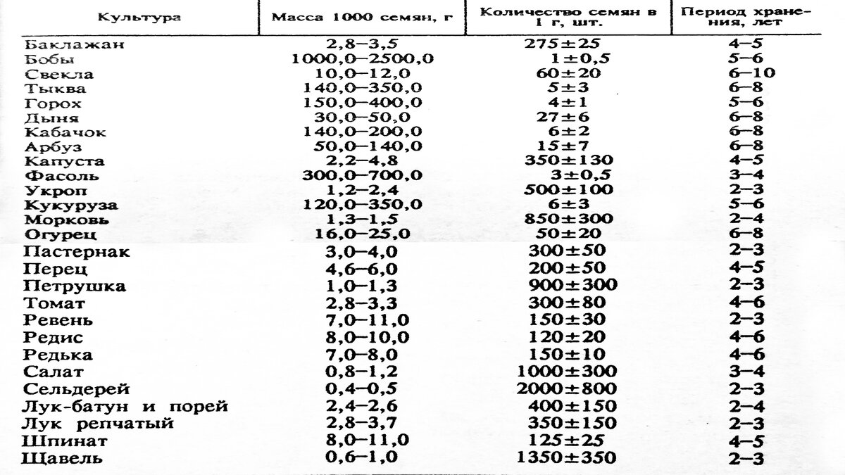 🌱 Сроки хранения семян 🍅 Таблица 🌽 Масса 1000 семян и количество в 1  грамме | Гордеевы | Дзен