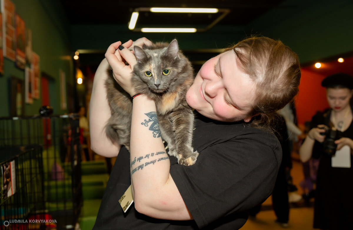    Студентка из Петрозаводска доказала, что «Без кота и жизнь не та»