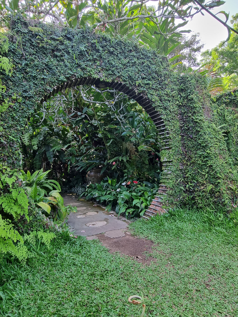  Brief Garden. Фото автора статьи