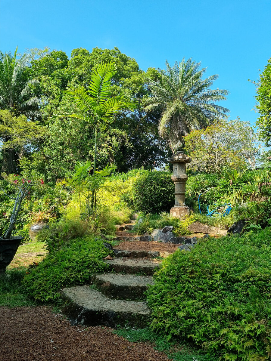 Brief Garden. Фото автора статьи