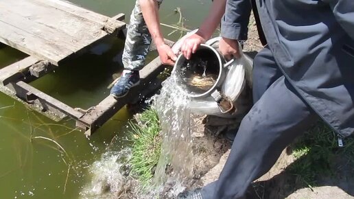 Зарыбление водоёма карпами. Спортивная рыбалка. Первые весенние караси.