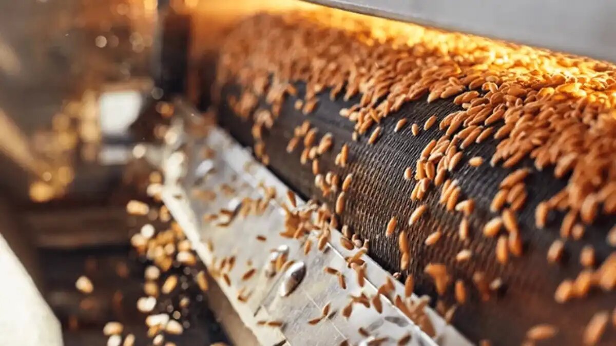 Фото:Syngenta Обработка семян играет важную роль в защите сельскохозяйственных культур от вредных организмов, передающихся через семена и почву