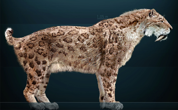 Smilodon fatalis, самый известный из саблезубов.