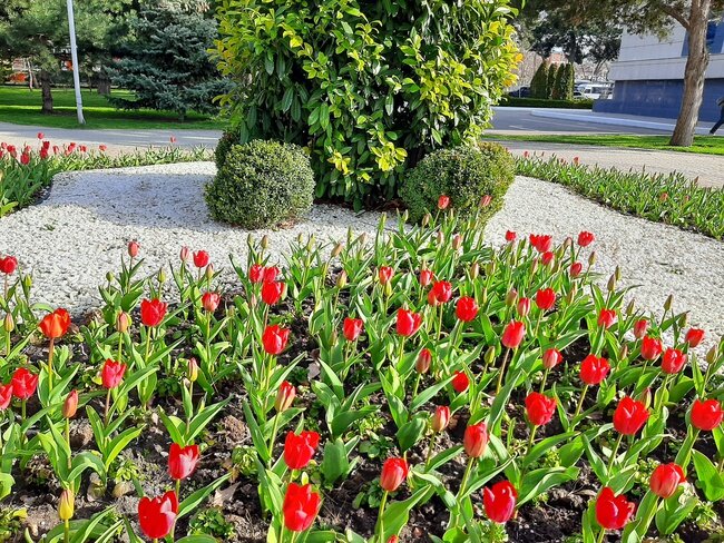 Все фото, которые вы увидите в статье сделаны автором 30 марта, то есть вчера))