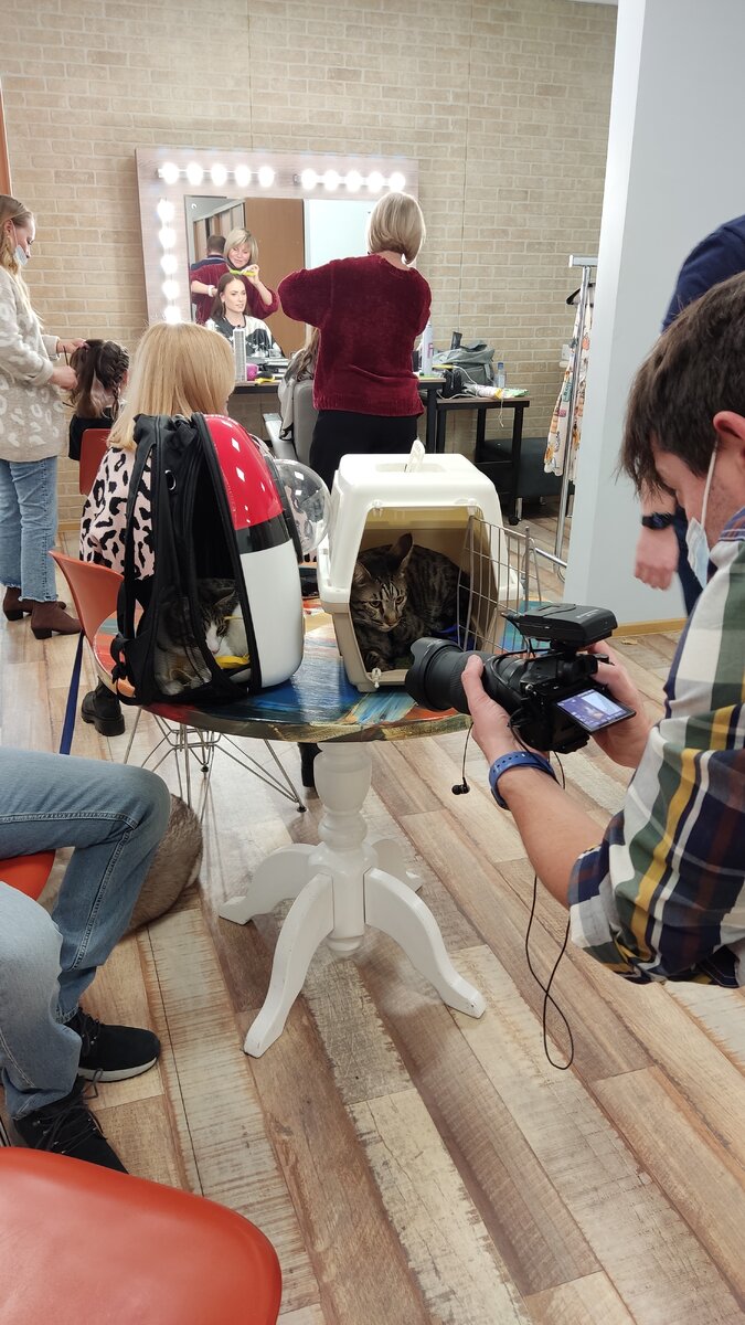 Кот Платон на Первом канале