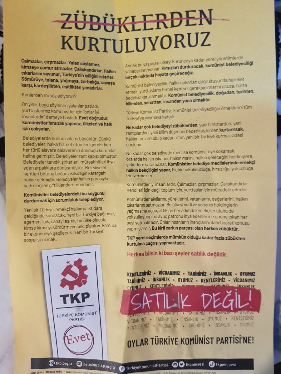 Листовка от коммунистов. Они пишут, что ставленники мэра практикуют кумовство и все сплошь подкупны, а они, мол, коммунисты, реально за интересы народа. Перечеркнутое на листовке слово как раз обозначает нечестного политика, точнее, политиков ("зюбюки").