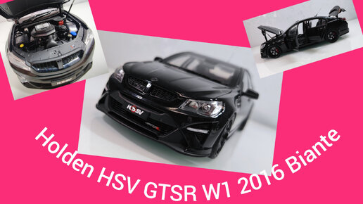 Holden HSV GTSR W1 2015 Biante