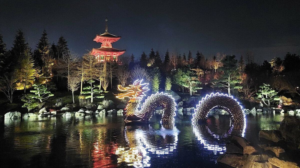 Фото: Алиса Крылова