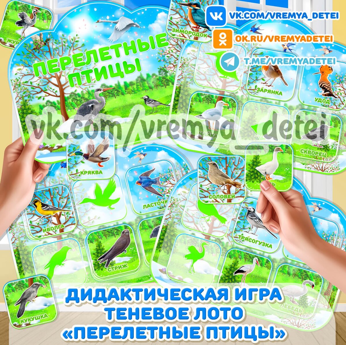 Дидактическая игра теневое лото "Перелетные птицы" 🦆