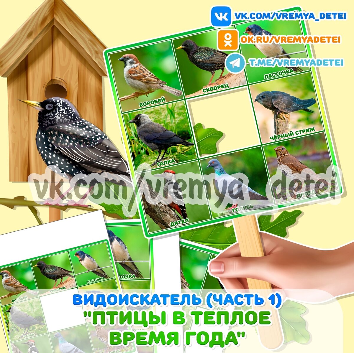Видоискатель "Птицы в теплое время года" (Часть 1) 🐦 для наблюдений в природе