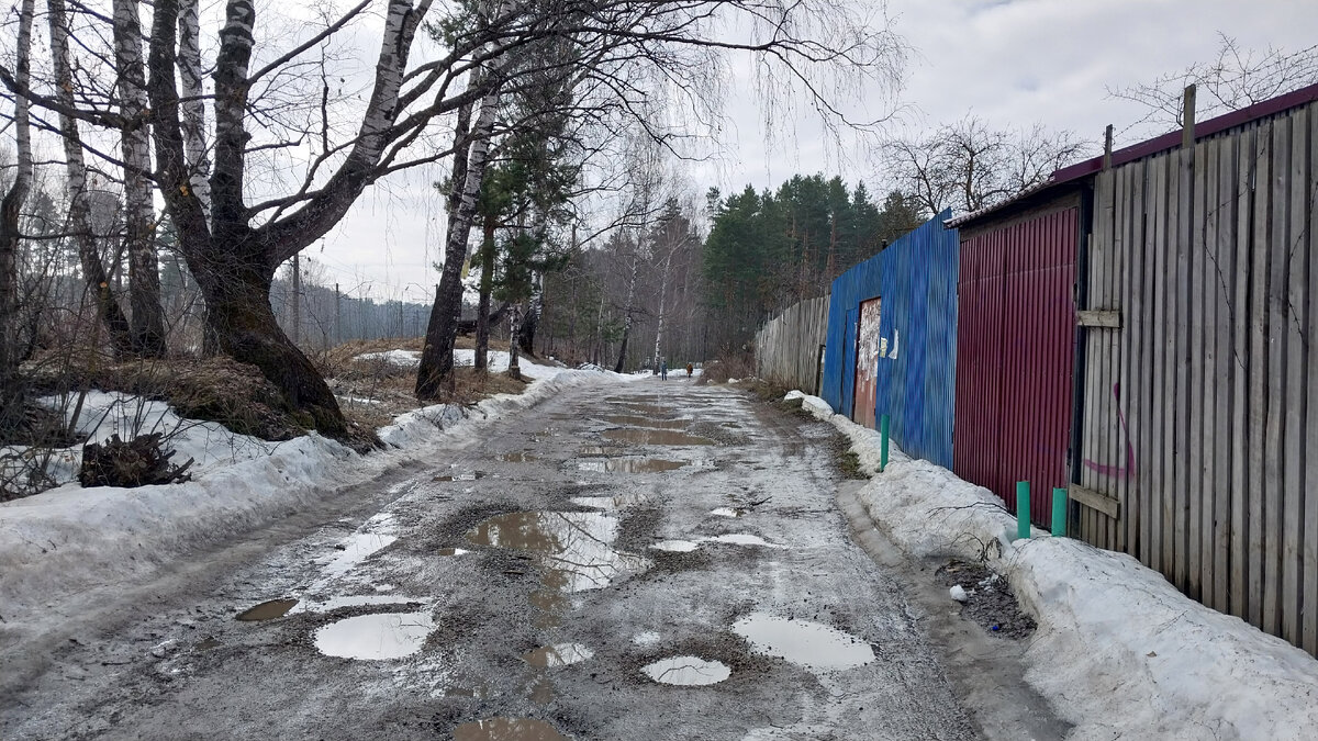 11 дел на дачном участке, которые необходимо выполнить весной