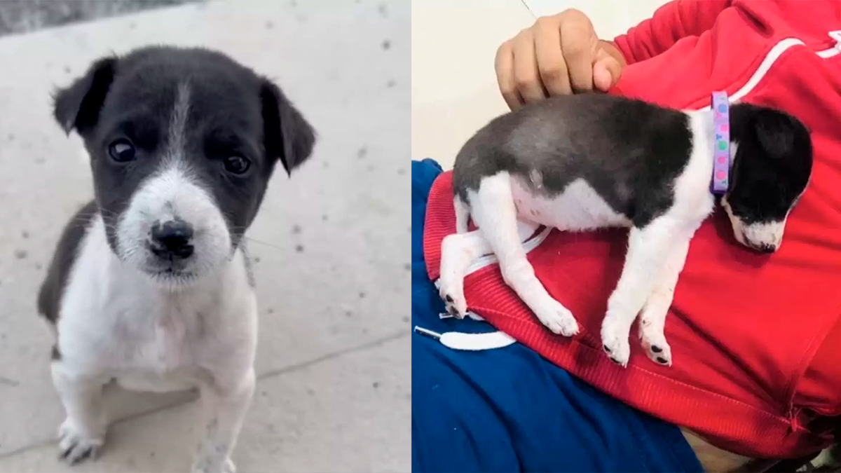    Юки сама пришла к своему спасителю