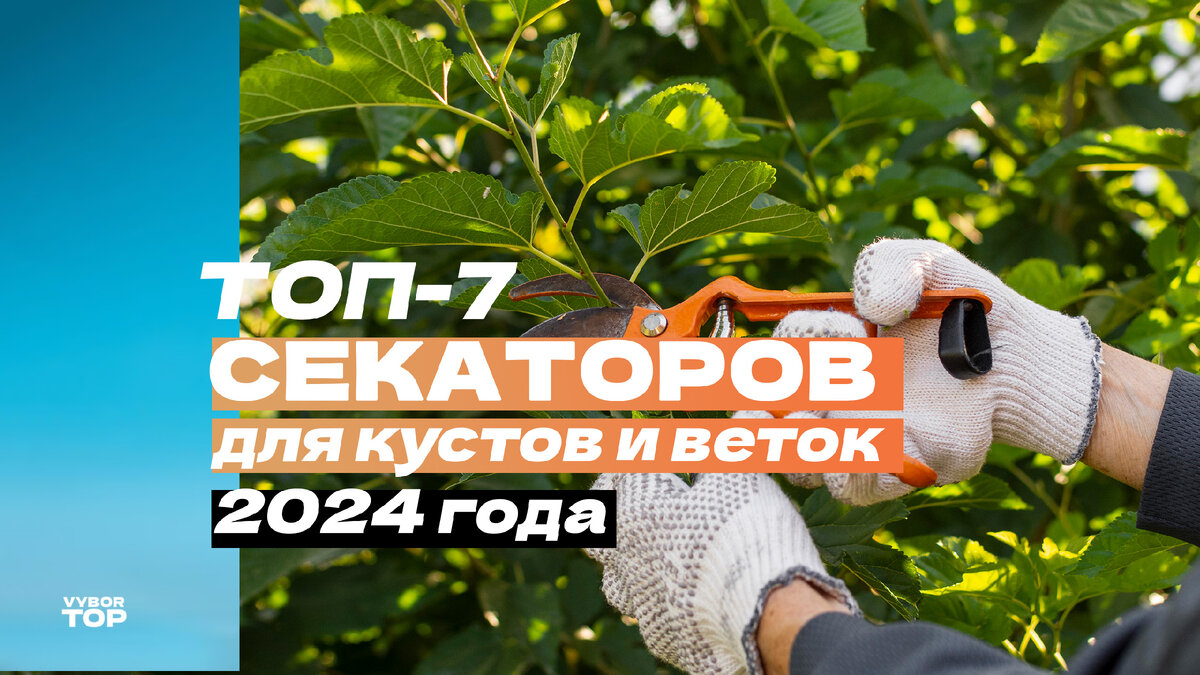 Лучшие секаторы для сада и дачи в 2024 году