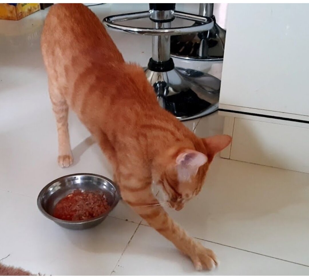 Фото из интернета