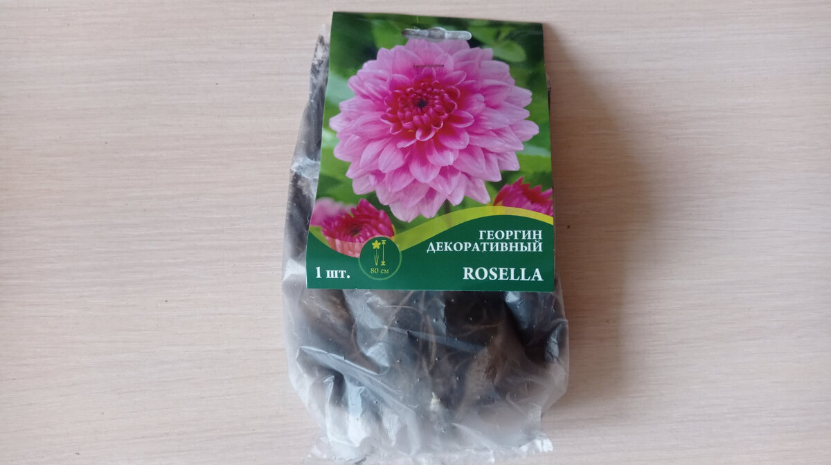 Вот такой клубень купила - меня привлек росток на нем. Листайте галерею