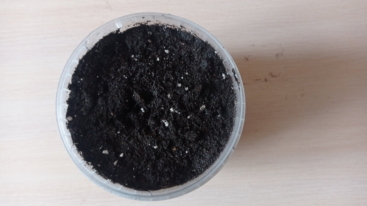 Засыпала клубень землей