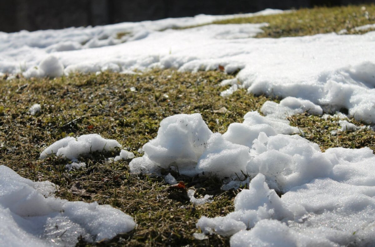 Снег тает, тает... шаг за шагом идет Весна... изображение из сети