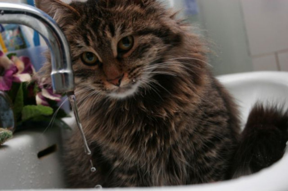    В Томске в 80 домах отключат холодную воду 8 апреля