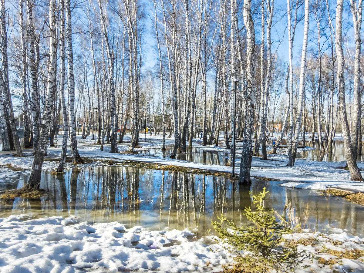 Треснувший лед. Лед тронулся видео. Ледоход на волге. Лед под ногами. Лед ногами тронулся.