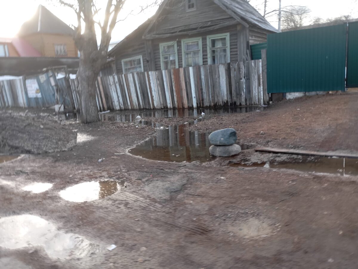 Фото Ярослава