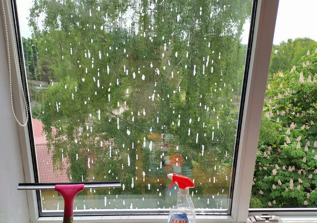 Фото: Виктор Лисицын/GlobalLookPress