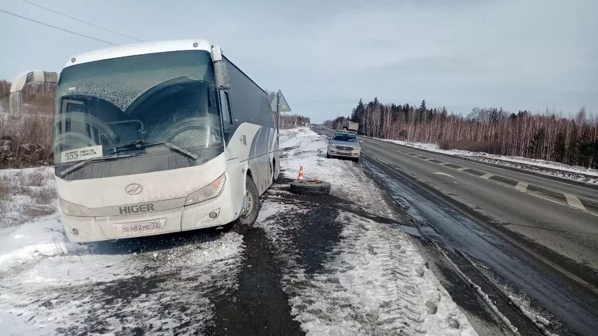 Тюмень – Тобольск: расписание автобусов и билеты