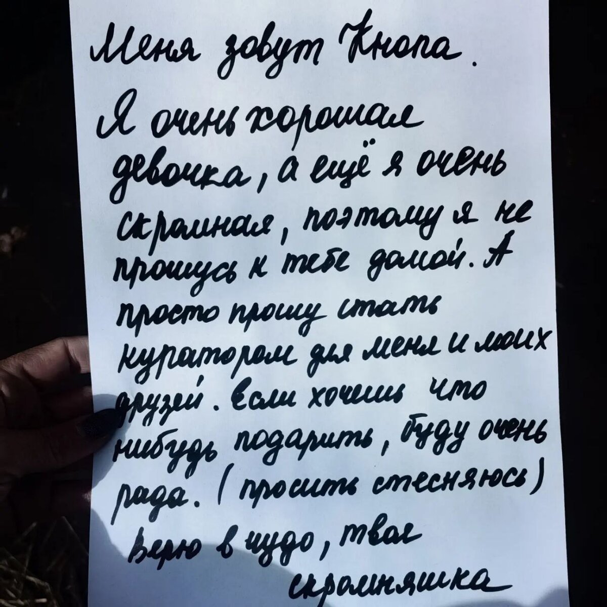 ПРЕДЛАГАЕМ ВАМ ОПЕКУНСТВО или КУРАТОРСТВО питомцев приюта  Право_на_Жизнь_03! | Право_на_Жизнь03 | Дзен