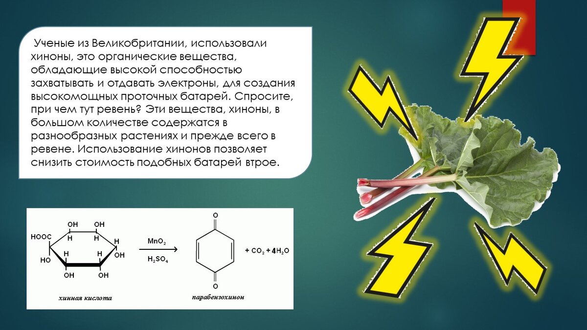 Ревень. Про корешки и черешки | Невыдуманные истории еды | Дзен