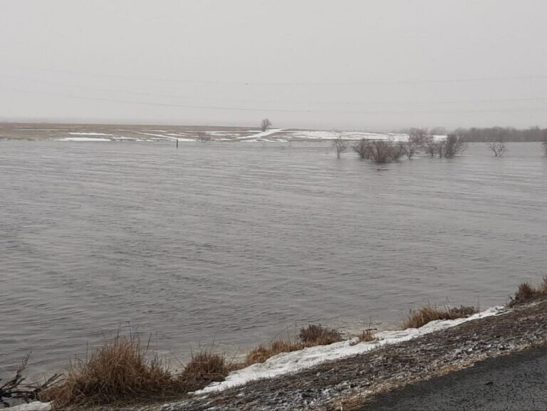    Жителей Орска из-за паводка просят не выезжать за пределы города Белов Михаил Александрович