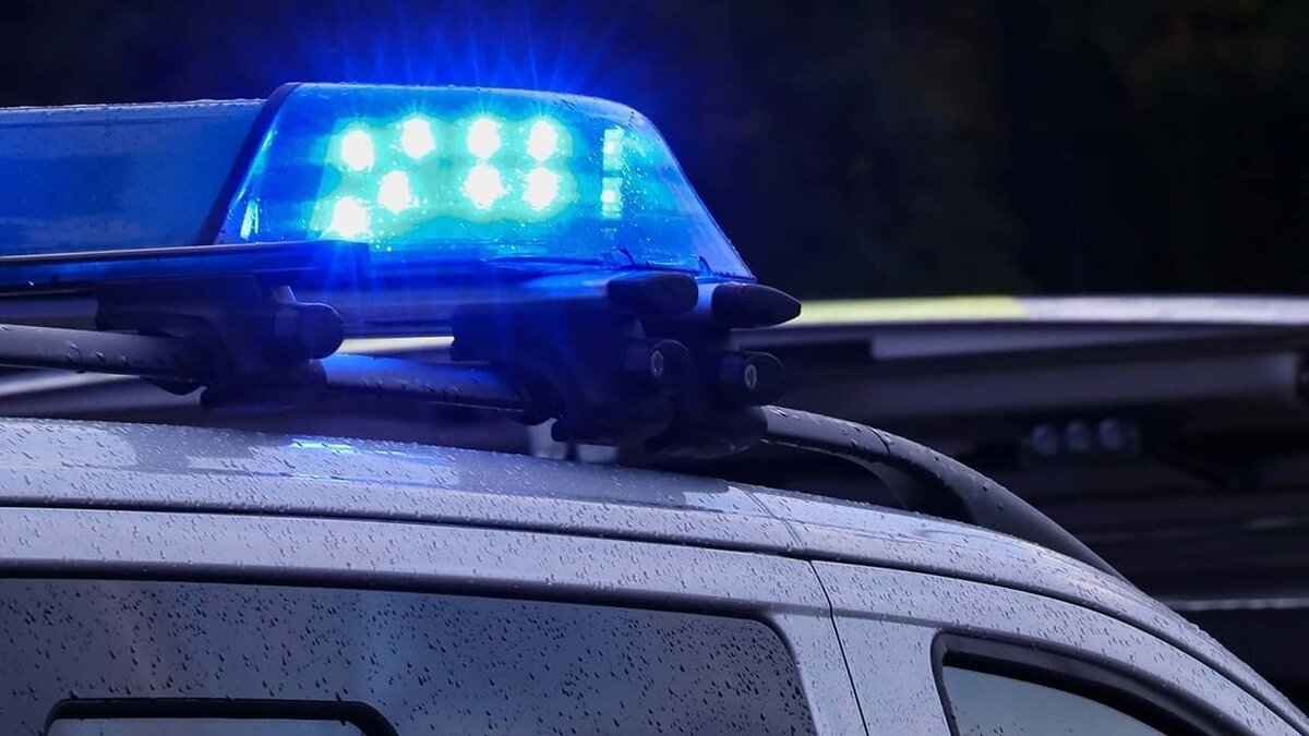 Фото: https://tvzvezda.ru/ (https://mcdn.tvzvezda.ru/storage/news_other_images/2023/12/30/1bcad54ef68a408dae31215a284f6c04.jpg)