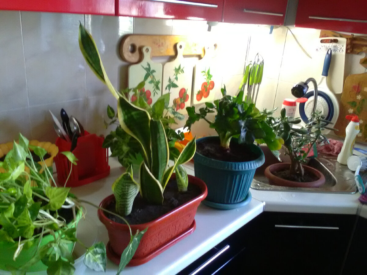 Очередь в душ