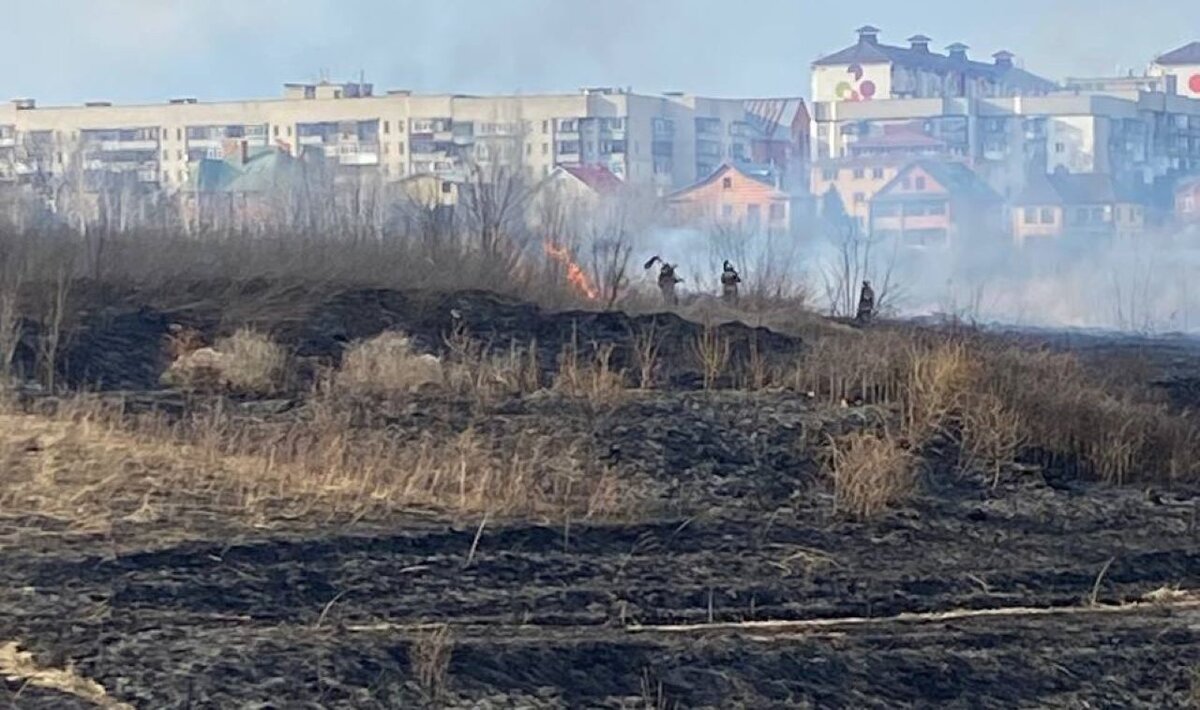    В Курске очевидец помог поймать виновника пожара на проспекте Победы