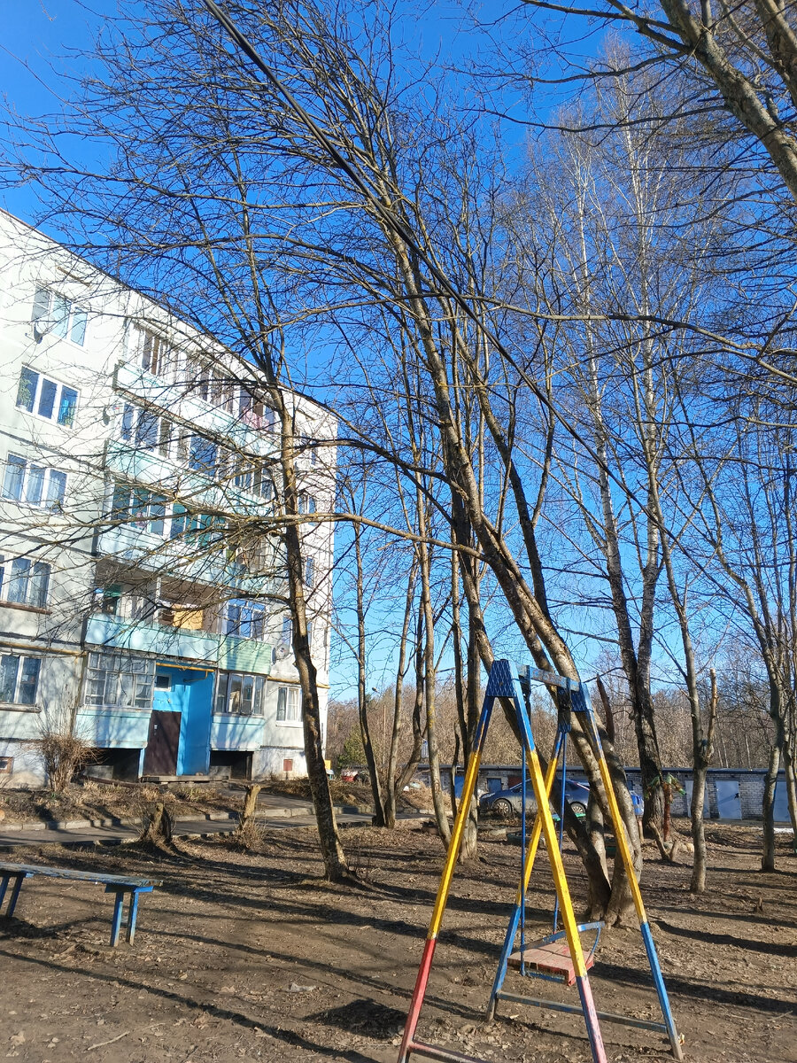 Фото автора 
