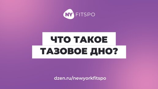 Что такое тазовое дно? 🧐 Показываем и рассказываем. В описании ссылка на программу для женского здоровья и подтянутого живота ⬇️