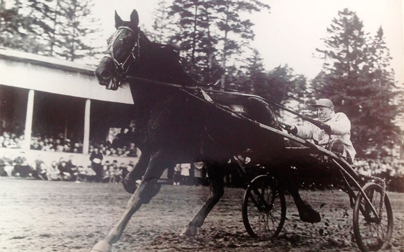    Деревянные трибуны, участие в параде в Москве, чемпионы: история ипподрома в Ижевске