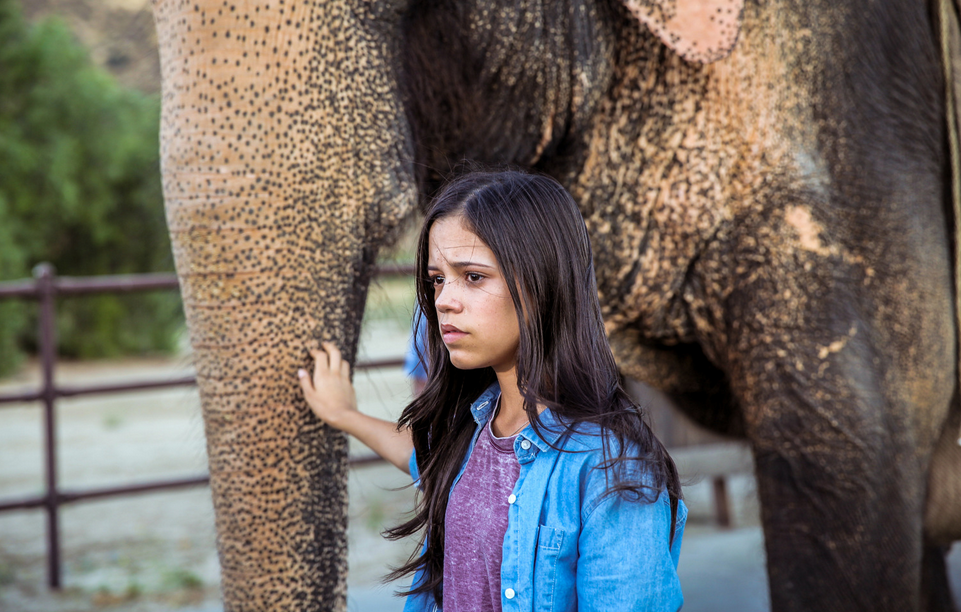 Листайте кадры.