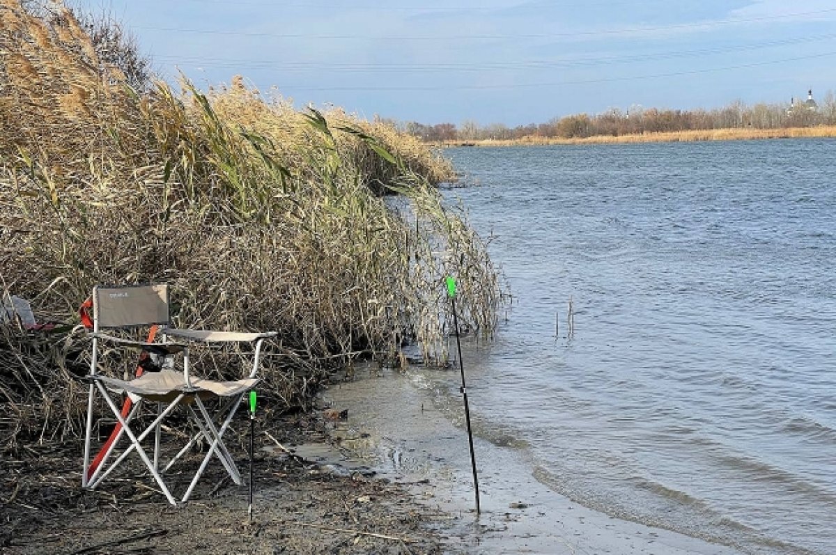    Уровень воды в Тамбовский реках продолжает расти